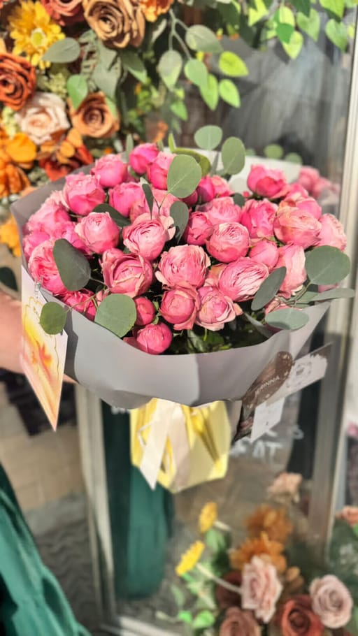 Piones Beby Roses 