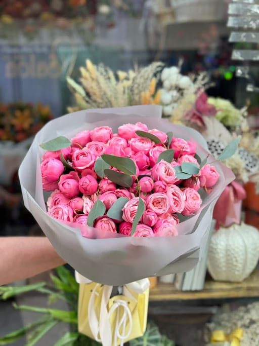 Piones Beby Roses 