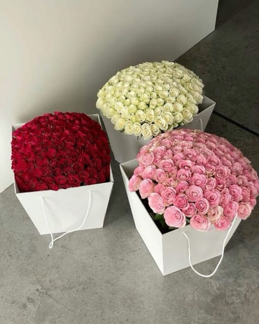 Rose 101pis