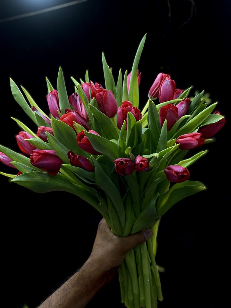 Tulip Bouquet - Image 3
