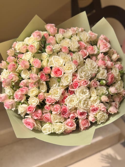 75 Beby roses mix