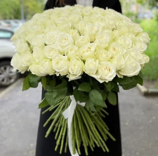 101 Roses