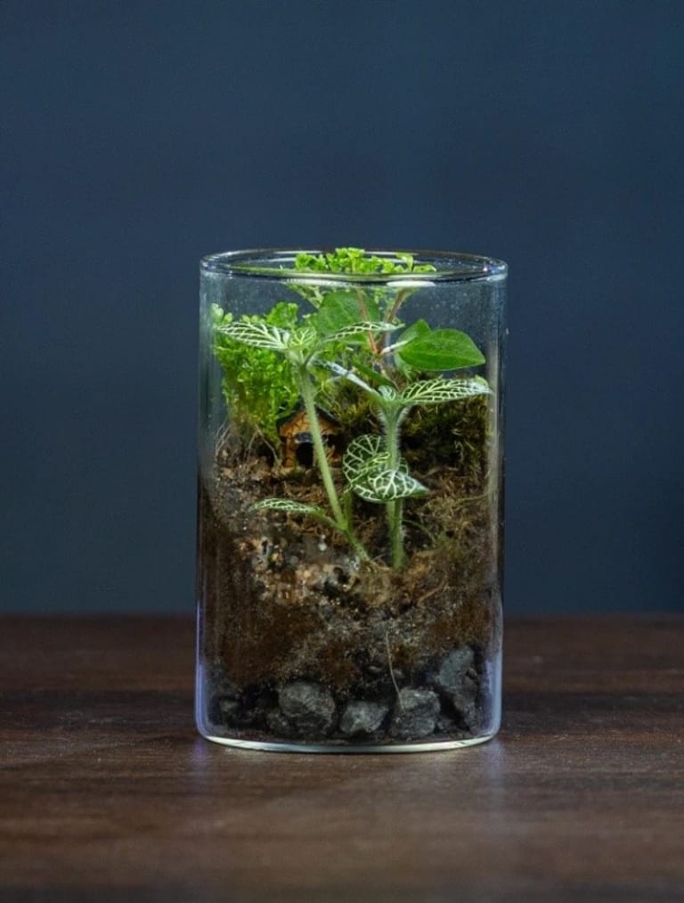 The Verdant Vial - Image 1