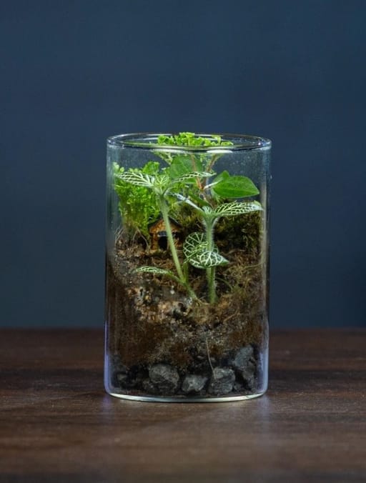 The Verdant Vial