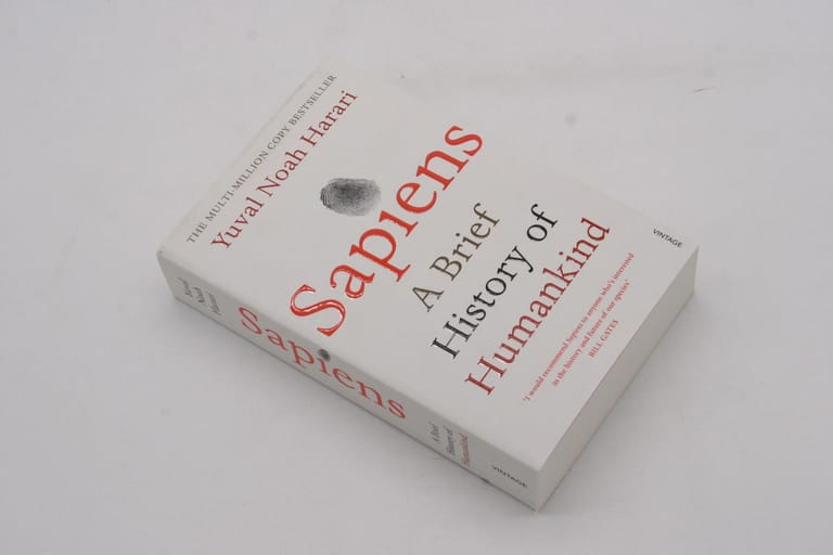 Sapiens: A Brief History of Humankind - Image 4