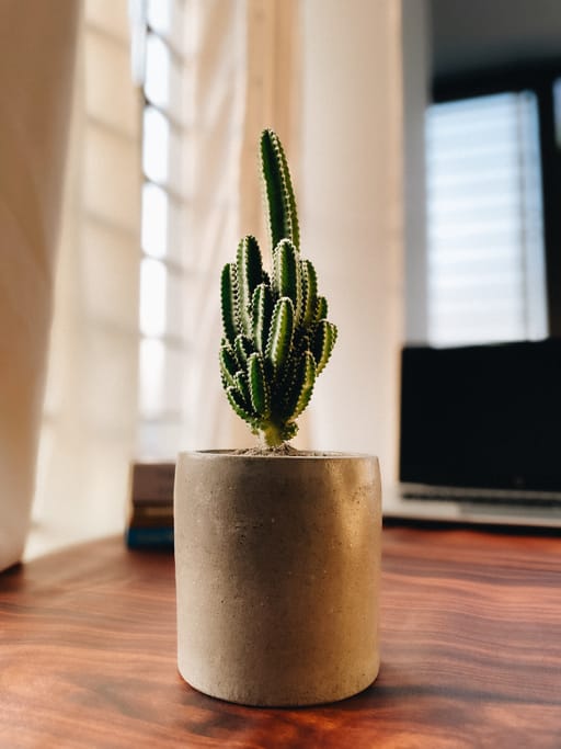 Grey Pot