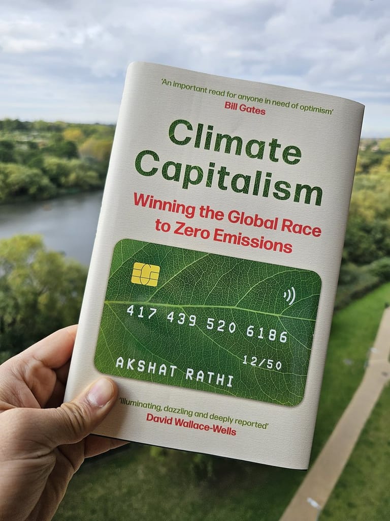 Climate Capitalism - Image 1