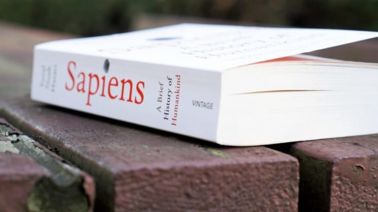 Sapiens: A Brief History of Humankind - Image 3