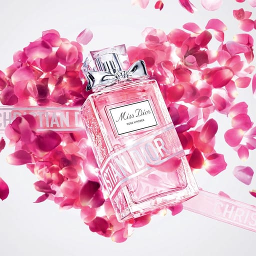 ROSE N’ ROSES