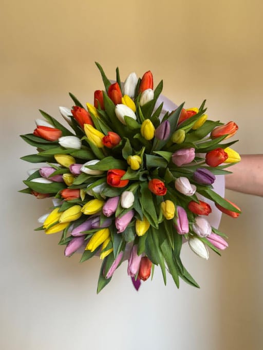 51 Tulips