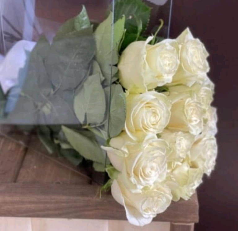 11 white roses - Image 1