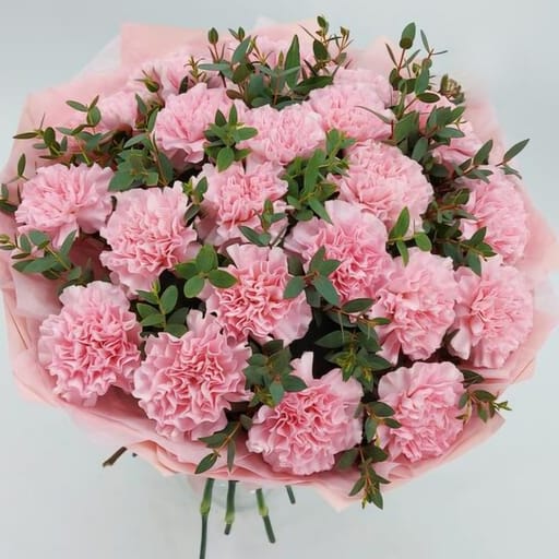 21 Dianthus 