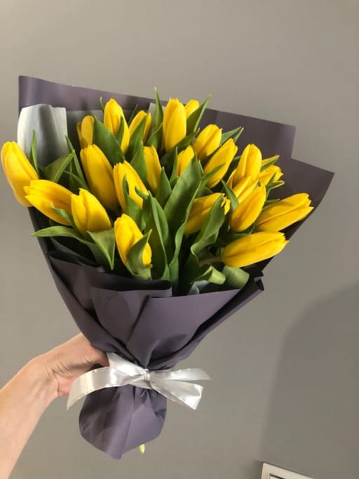 Tulips yellow (25pic)