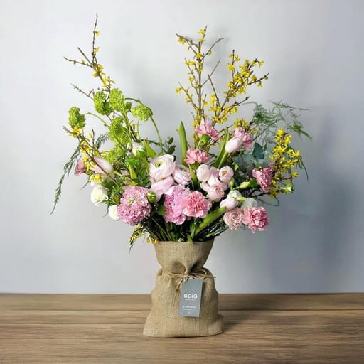 Pastel Bunch - Summer Specials