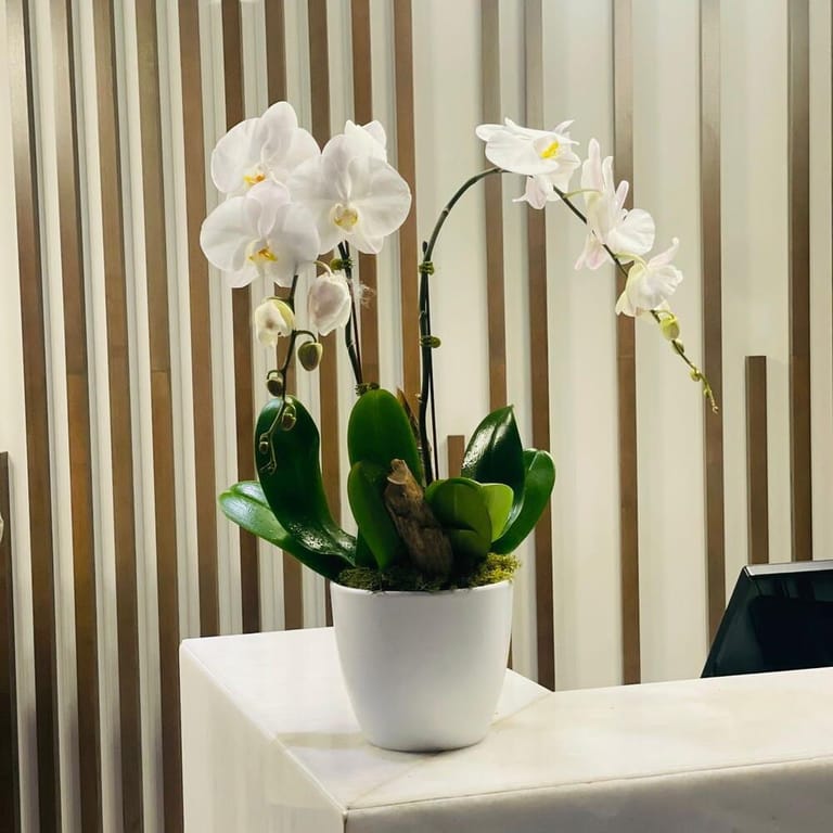 Sustainable Flower Pot