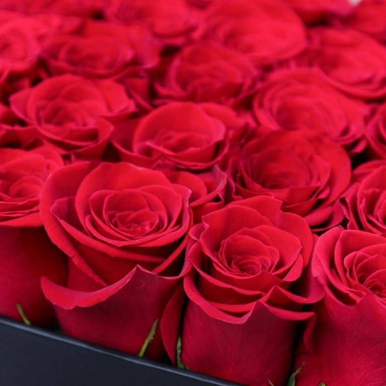 25 Red Roses Love - Image 3