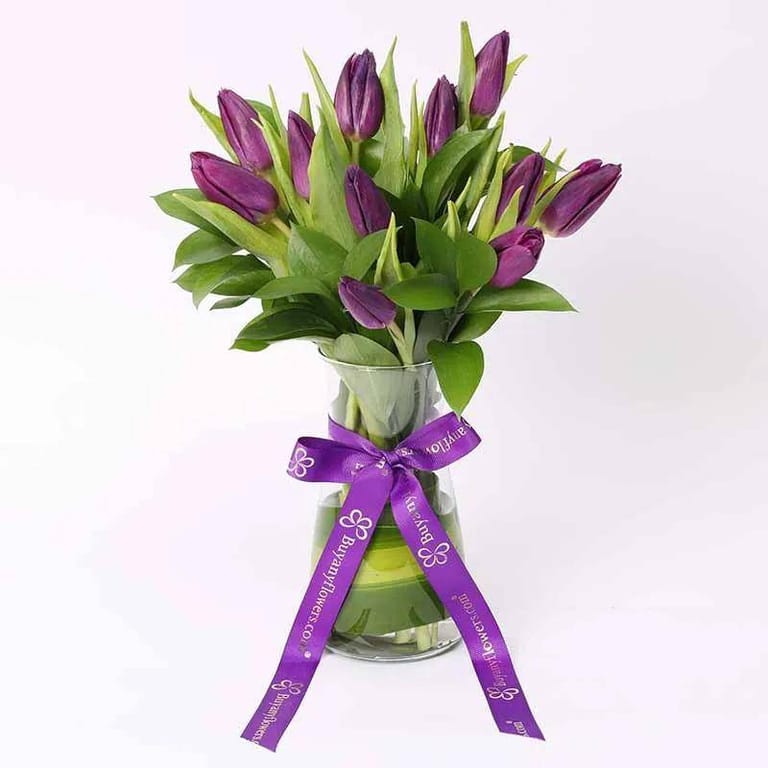 Dark Beauty 11 Purple Tulips - Image 1