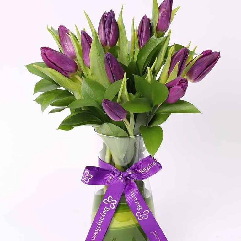 Dark Beauty 11 Purple Tulips - Image 2