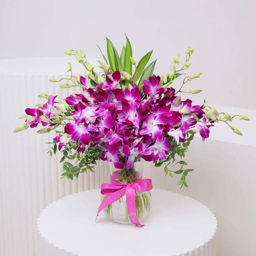11 Purple Orchid in Vase