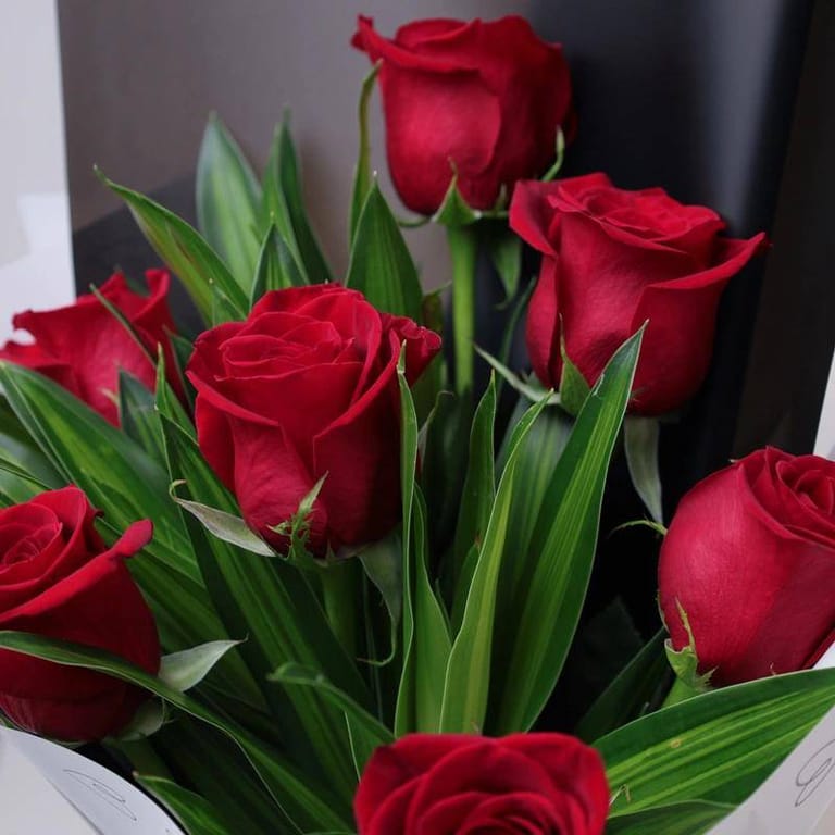 Cute Love - Image 4