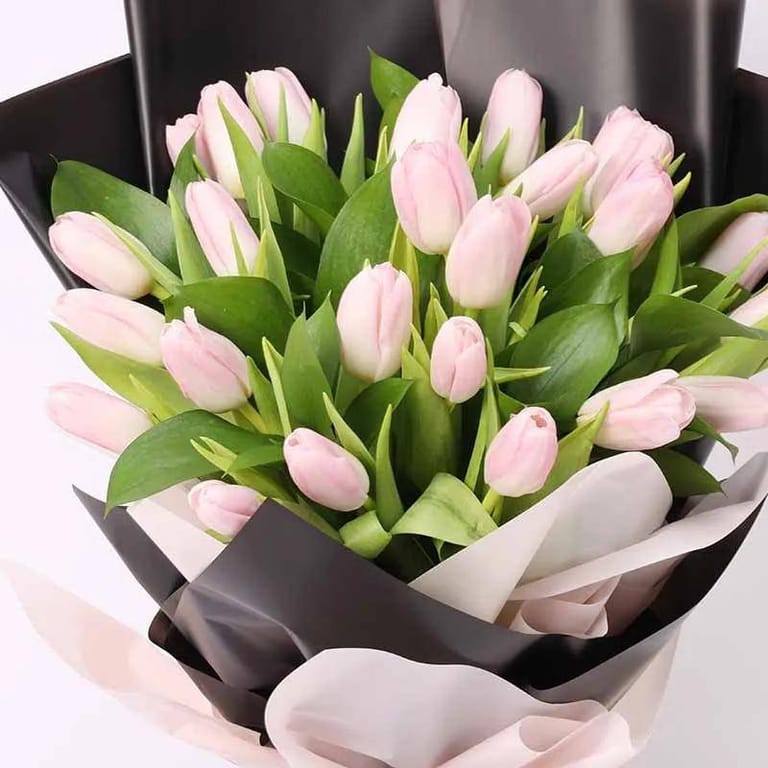 Dark Beauty 25 Tulips - Image 3