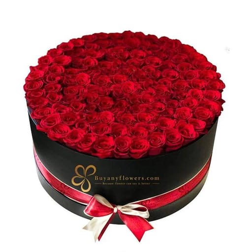 Grand Red Roses Love