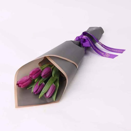 Dark Beauty 5 Purple