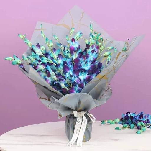 Twilight 15 Blue Orchid