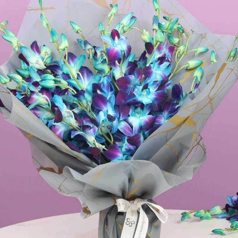 Twilight 15 Blue Orchid - Image 2