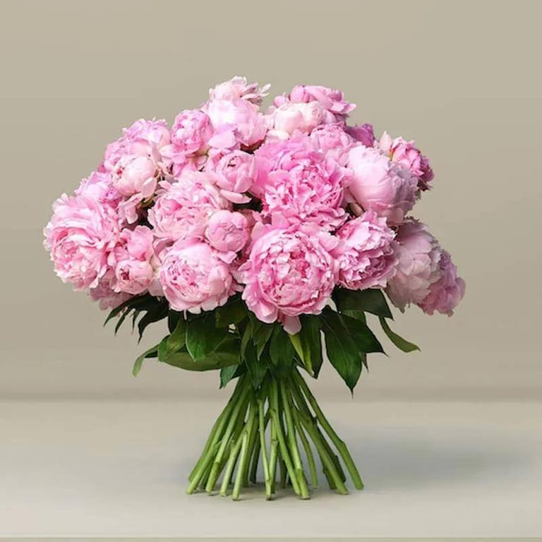 Sweety 30 Pink Peonies Bunch - Image 1