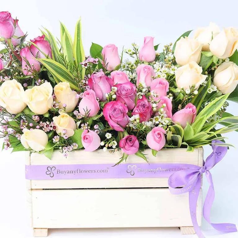 Abundance 31 Roses - Image 2