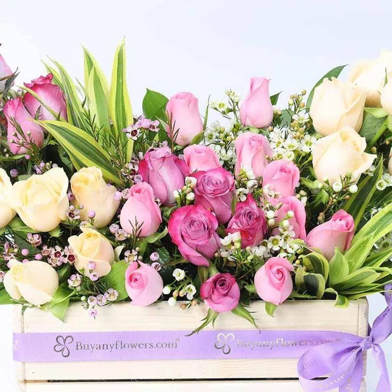 Abundance 31 Roses - Image 3