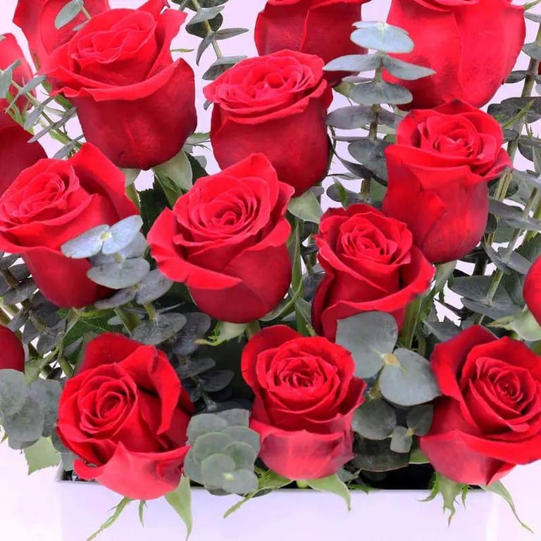 21 Red Roses and Chocolates - Image 3