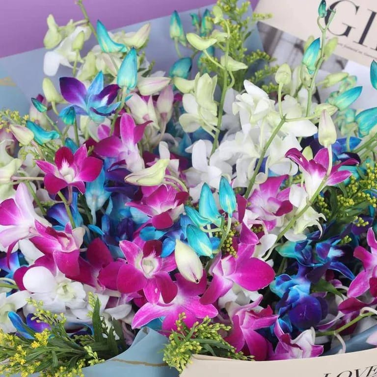 Wishes 33 Mix Orchid - Image 3