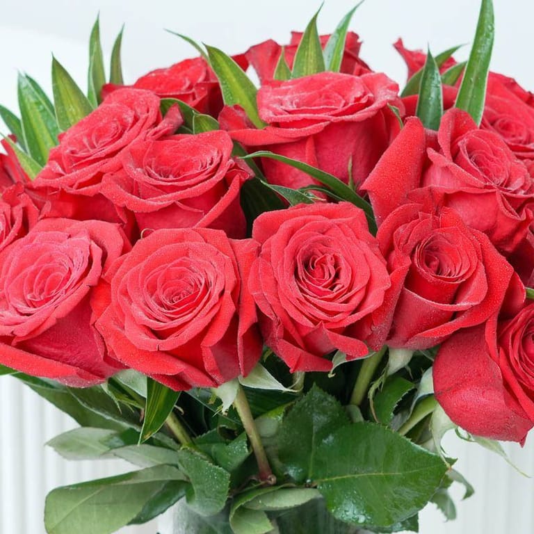 Beauty 21 Red Roses Vase - Image 3
