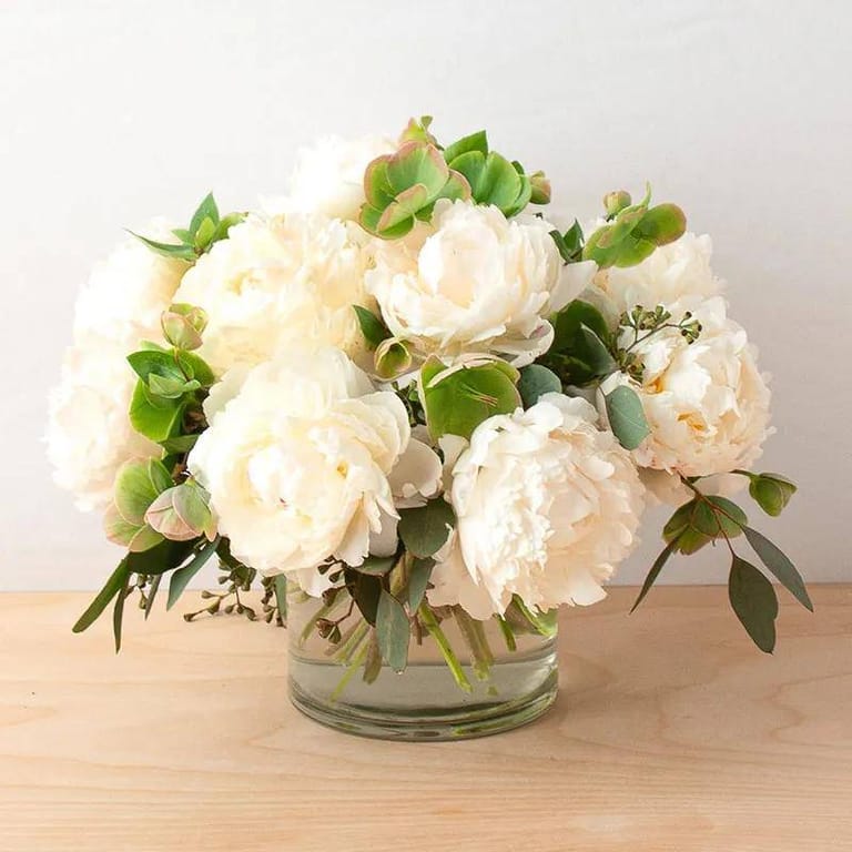 Freeze 11 White Peonies - Image 1