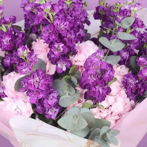 Standing Beauty 21 Matthiola & Hydrangea