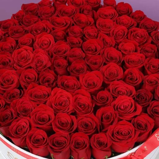 Grand Red Roses Love White