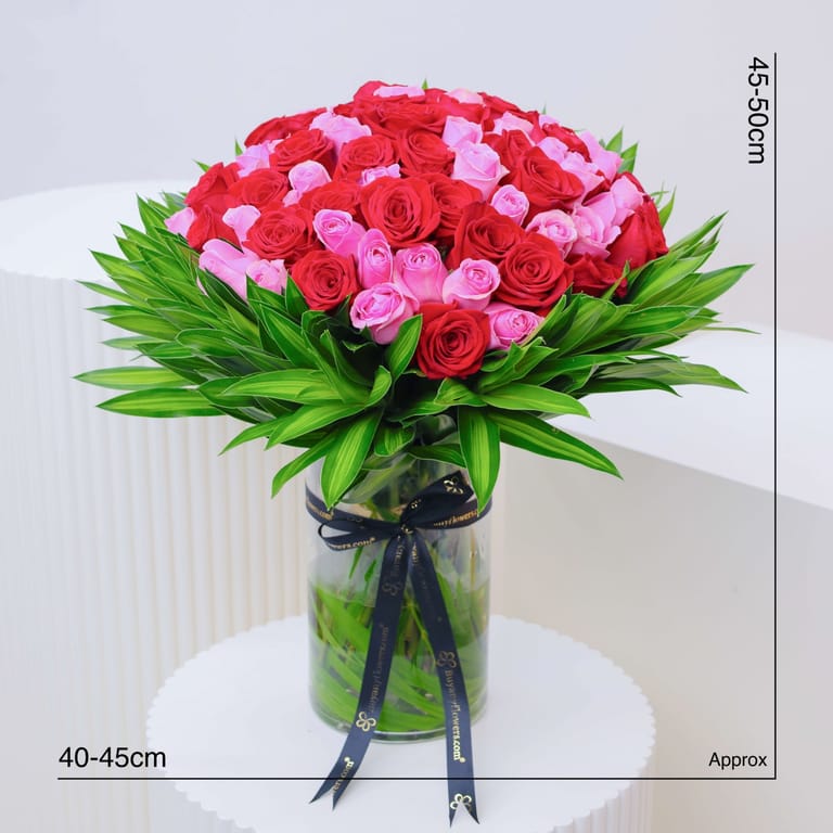 Pure Love 75 Roses in Vase - Image 3
