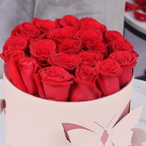 Butterfly 21 Red Roses