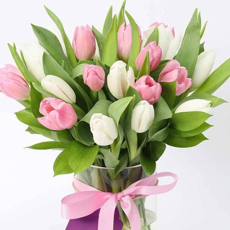 Calm and Beauty 21 Tulips - Image 1