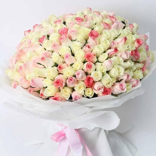 Grand Affection 301 Roses