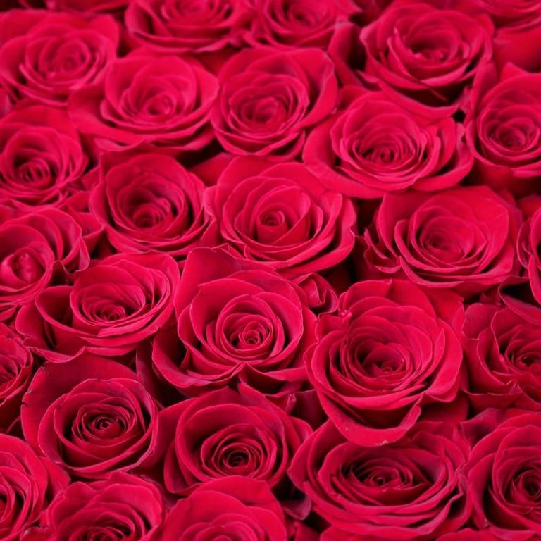 My Big Heart Red Roses Box My Big Heart - Image 1