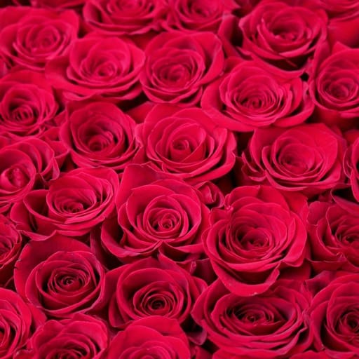My Big Heart Red Roses Box My Big Heart 