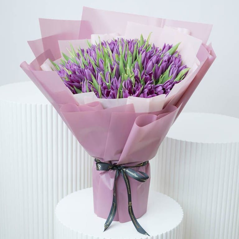 Purple Beauty 101 Tulips - Image 4