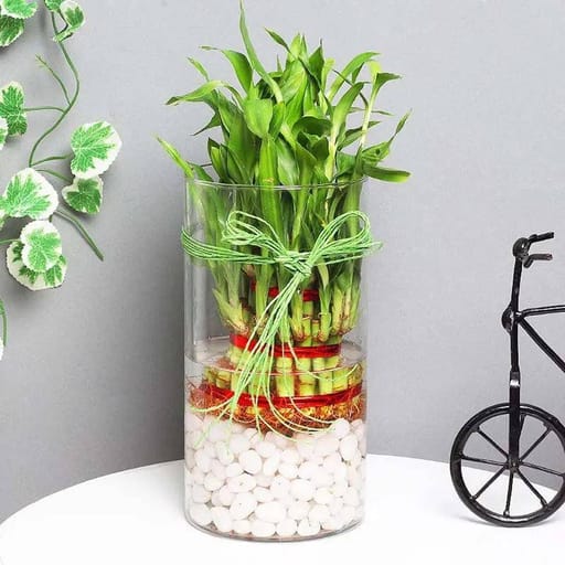 Cylinder Vase
