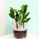 Photo 6303