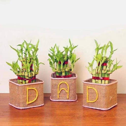 Square Glass Vase For Dad