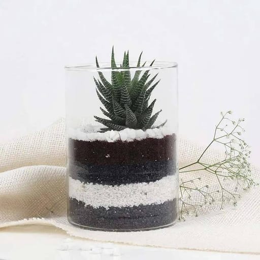 Cylinder Vase