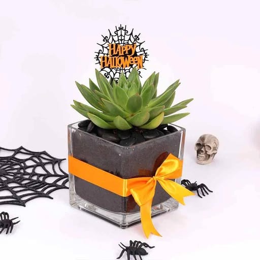 Halloween Theme